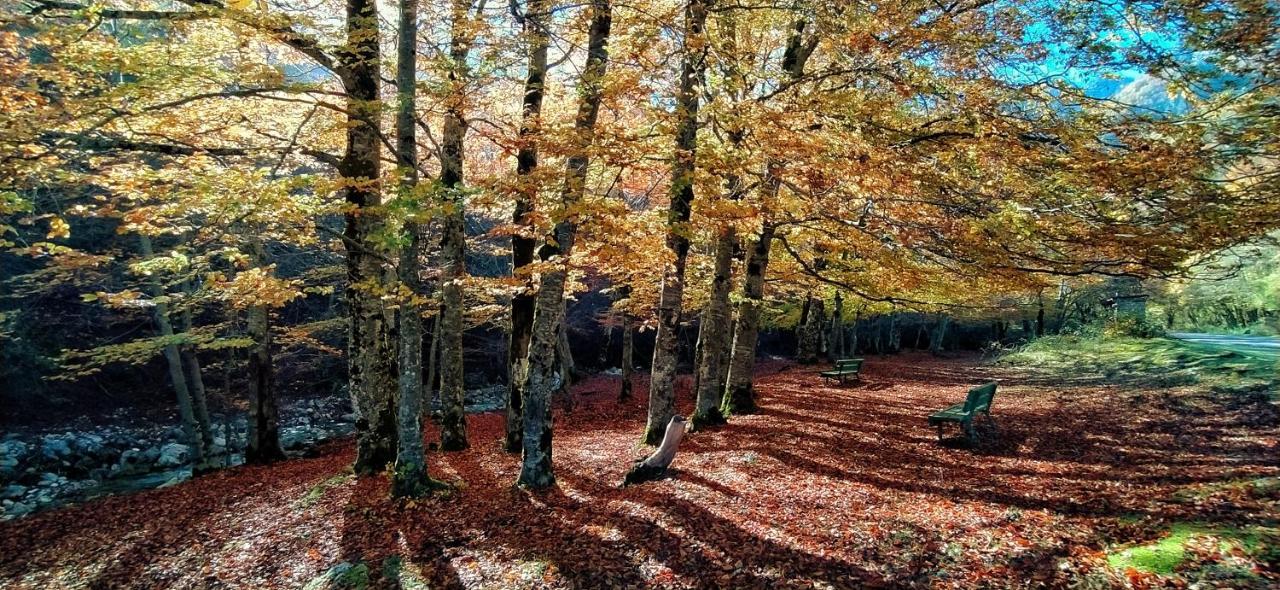 Le Masserie Case Vacanza Villetta Barrea Exteriér fotografie